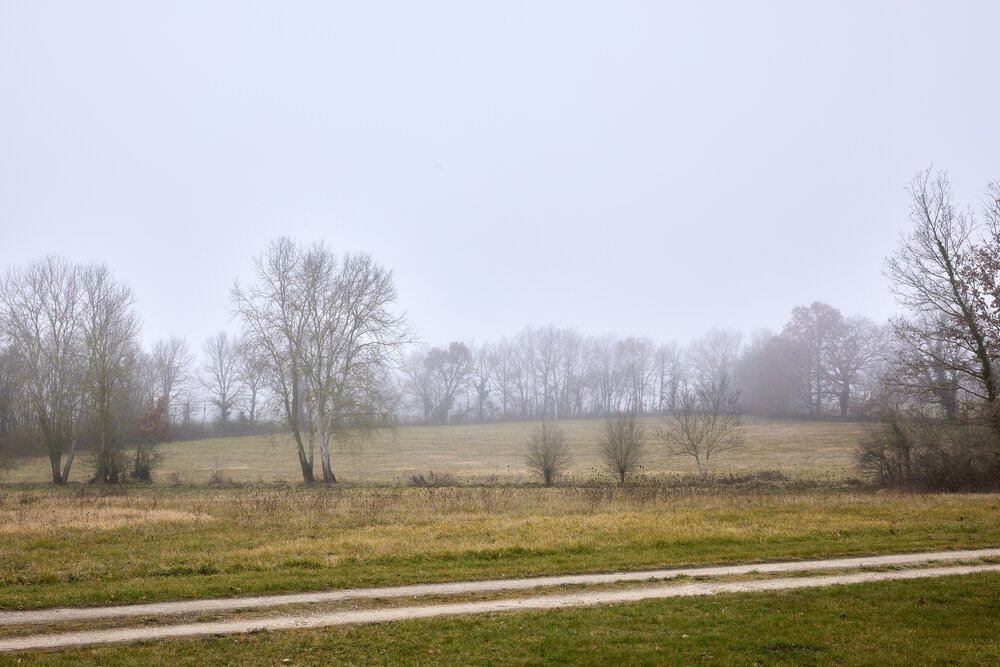 View from the front façade on a winter afternoon.