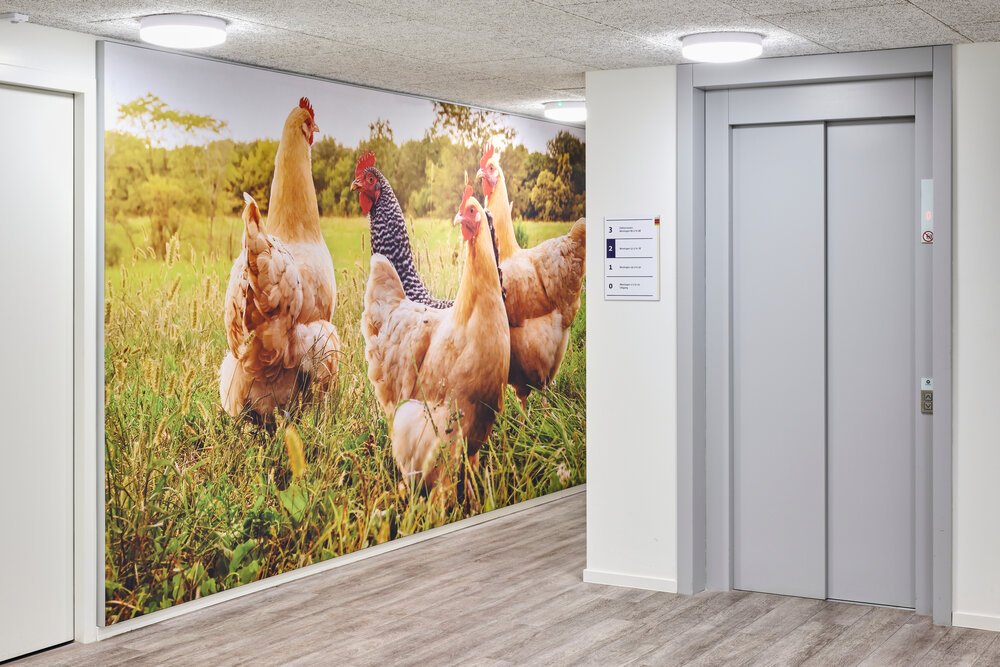 Wall Visuals also improve the acoustics in the corridors of this healthcare facility.