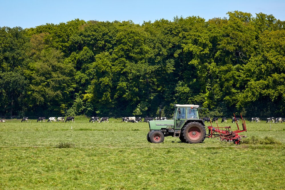 Kleinschalige landerijen vormen een ruim gevoel.