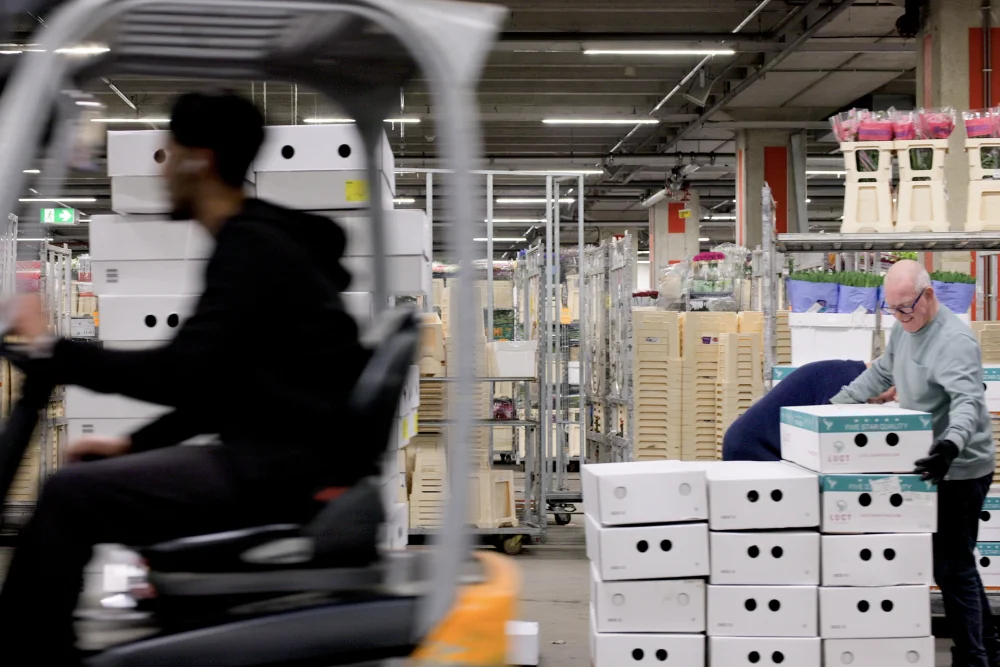 Na het inkopen gaan de producten op transport.
